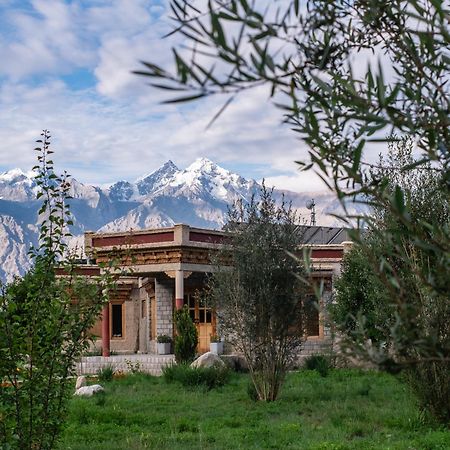 Lchang Nang Retreat-The House Of Trees-Nubra Valley Hotell Sumur Exteriör bild