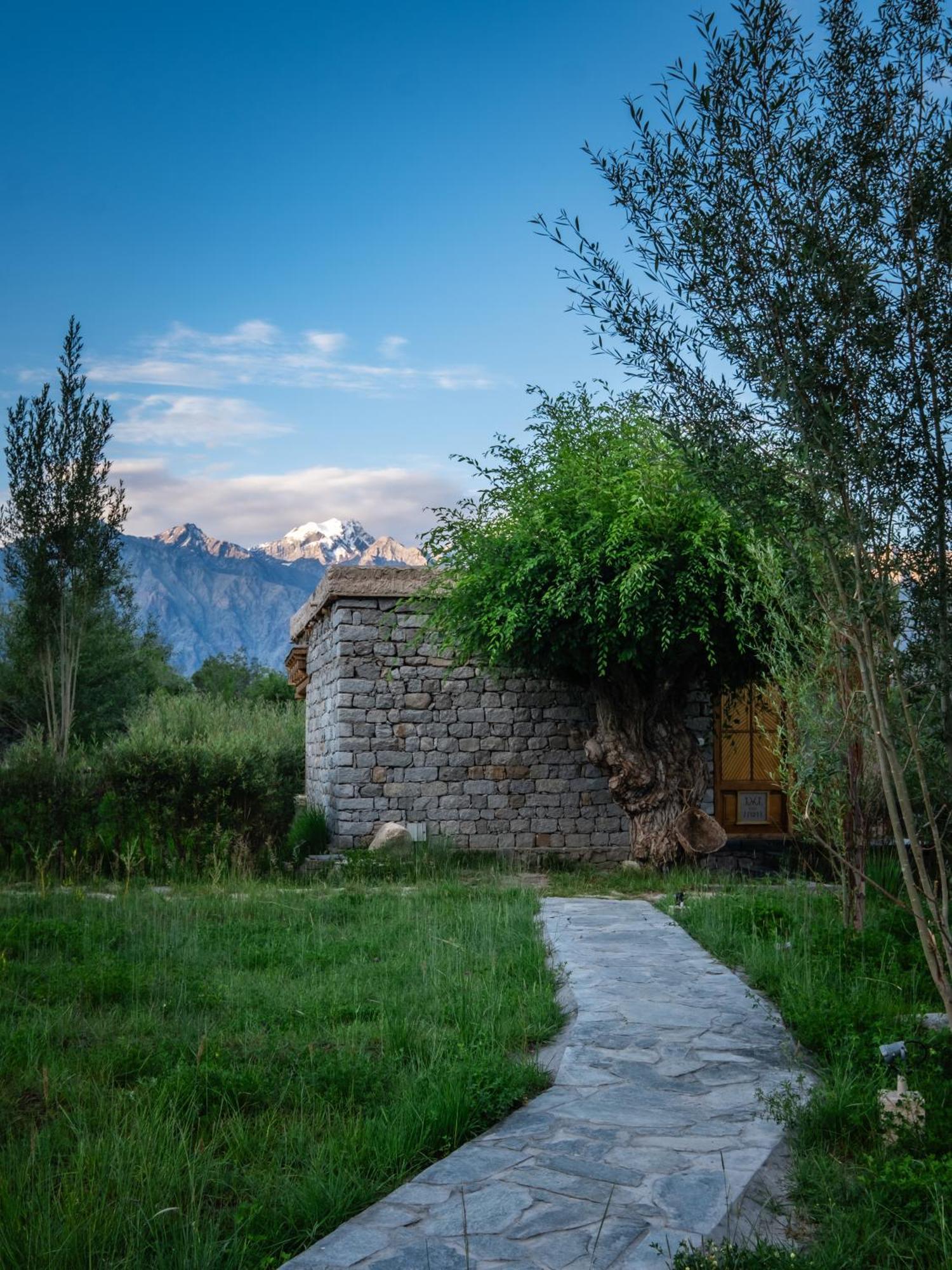 Lchang Nang Retreat-The House Of Trees-Nubra Valley Hotell Sumur Exteriör bild